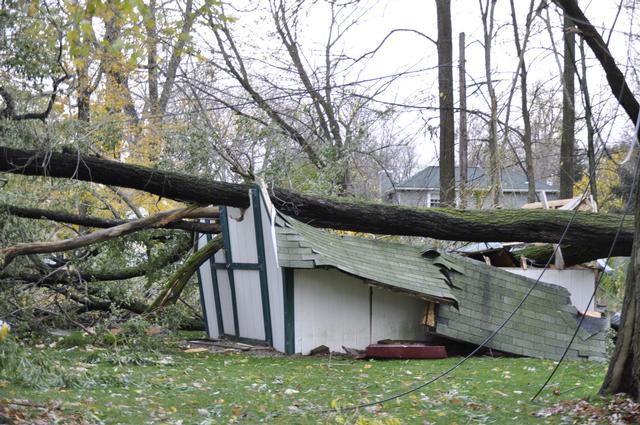 Aftermath of Super Storm Sandy.  This tree came down on a shed also taking down power lines in the area of Adeline Dr. 
October 2012