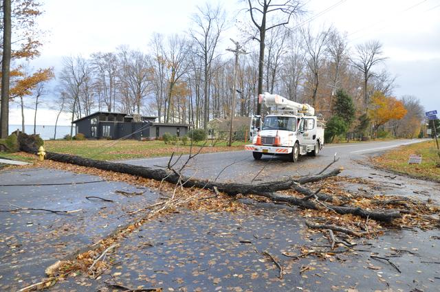 Tree takes power lines down after Super Storm Sandy
October 2012